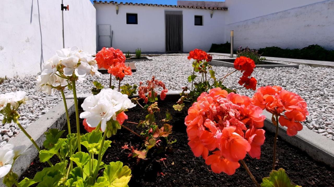 Вілла Casa Dos Vizinhos - Casas De Taipa Sao Pedro do Corval Екстер'єр фото